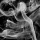 Analisi sensoriale sigaro – sintesi...